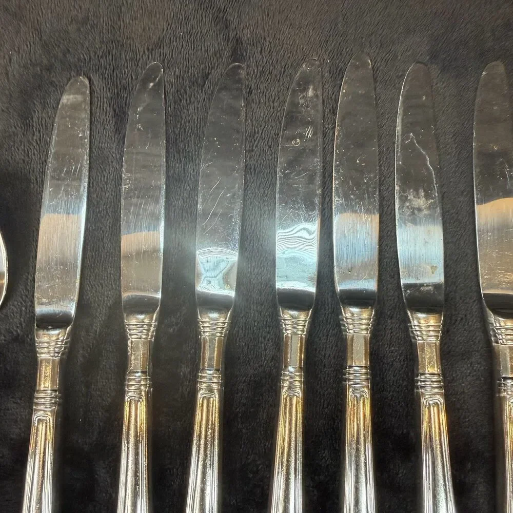 Pfaltzgraff Providence Stainless Flatware 14 Pieces 9 Knives 4 Forks 1 Spoon